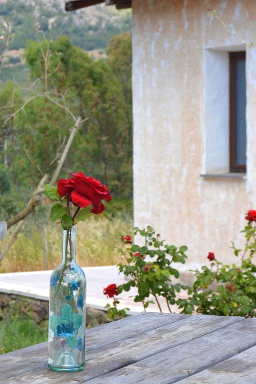 Agriturismo Rubinu Galtellì Rom bilde