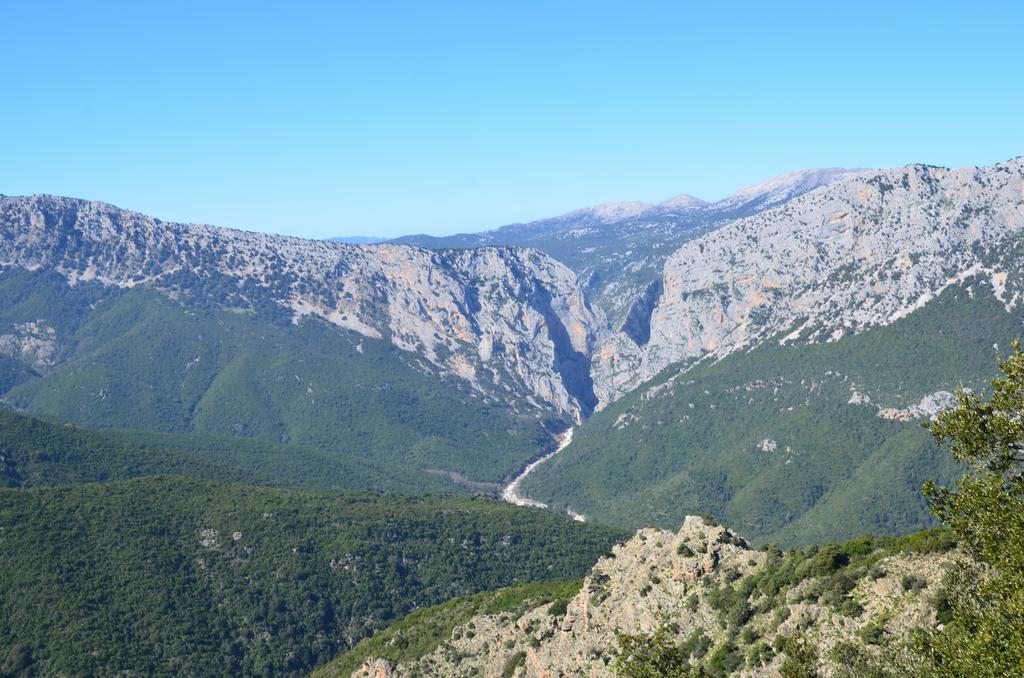 Agriturismo Rubinu Galtellì Eksteriør bilde